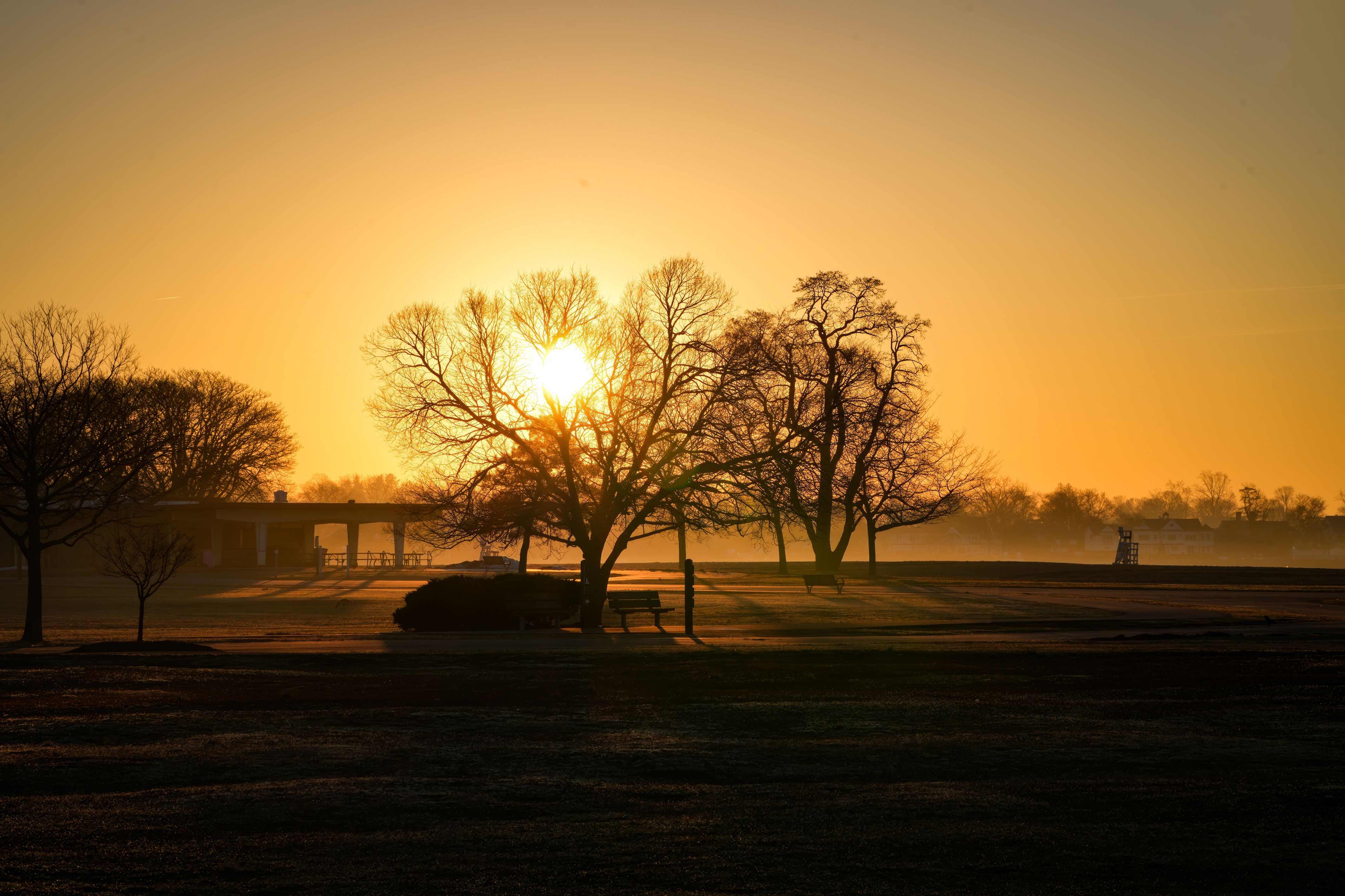 Sunrise walks in the park, Delhi