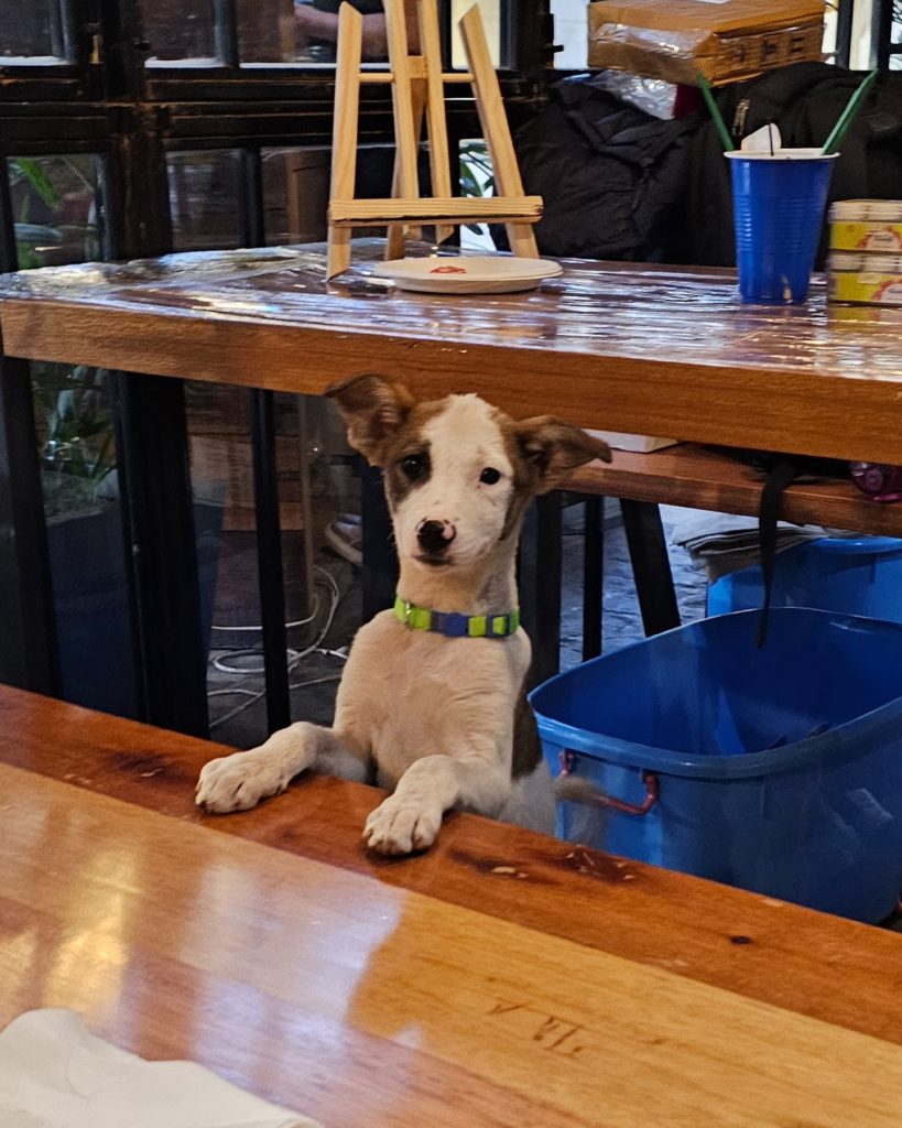 Barket Christmas Carnival in Delhi