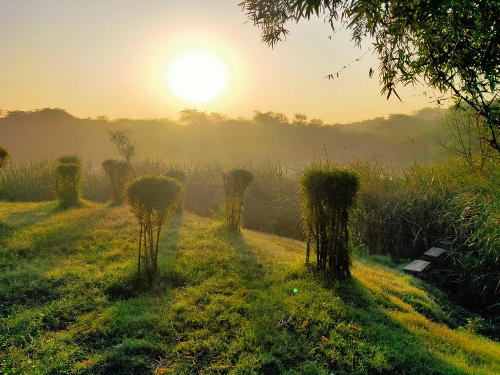 sanjay van, South Delhi