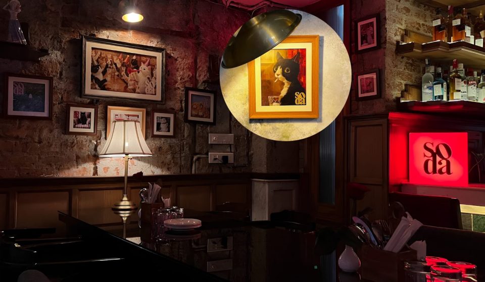 This 15-seater hidden speakeasy has miniature bottles on the menu with a side of Europe – and free shots on the house