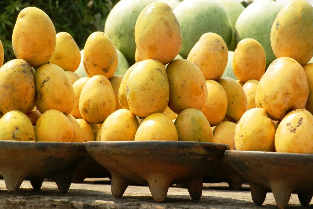 Mango festival