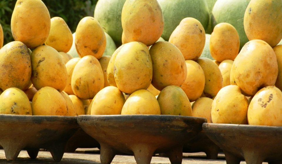 Mango-nificent vibes only! Delhi Tourism is bringing a 3-day Mango fest where you can try over 400 varieties of the fruit