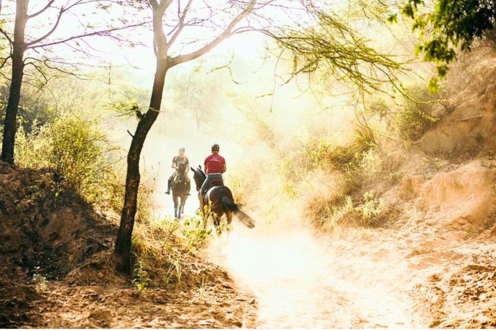 Duke Horse Riding Club riders galloping across the Aravalli Hills