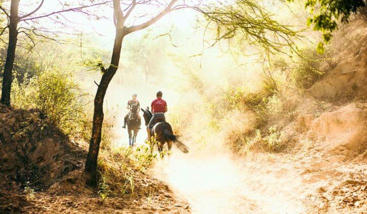 Just a short drive from New Delhi: this hidden horse riding club in Gurugram offers beginner-friendly trail rides alongside peacocks and deer