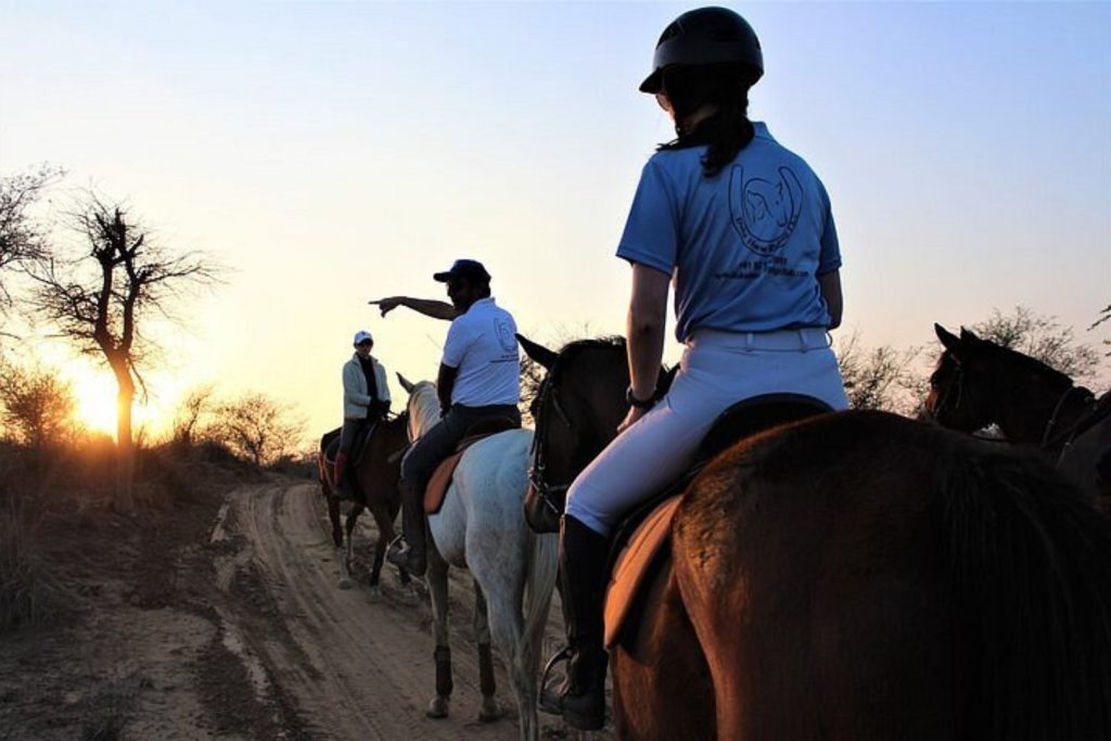 A group of riders from Duke Horse Riding Club exploring one of the many scenic trails outside of New Delhi