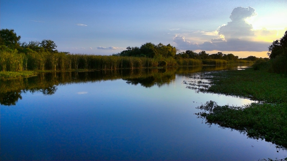 Top 9 Hiking Trails In And Around New Orleans That Are Definitely Worth The Trek