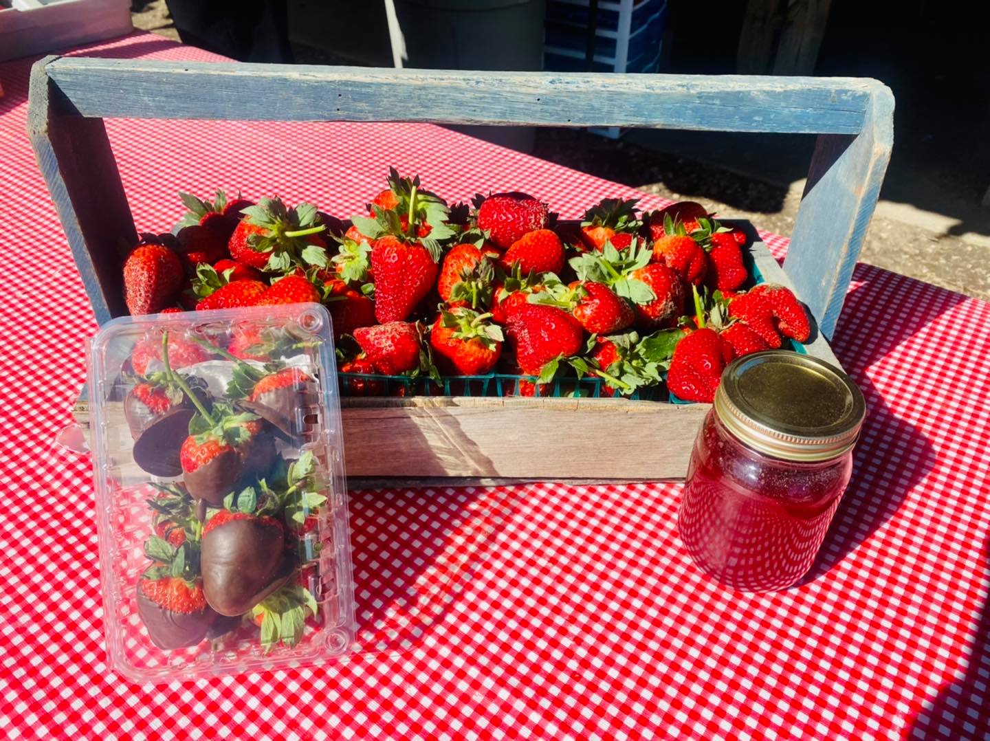 This Strawberry Picking Farm Just Outside NOLA Has Opened For The Season