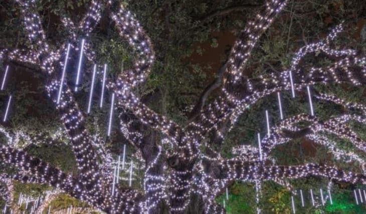 It’s Beginning To Look A Lot Like Celebration In City Park