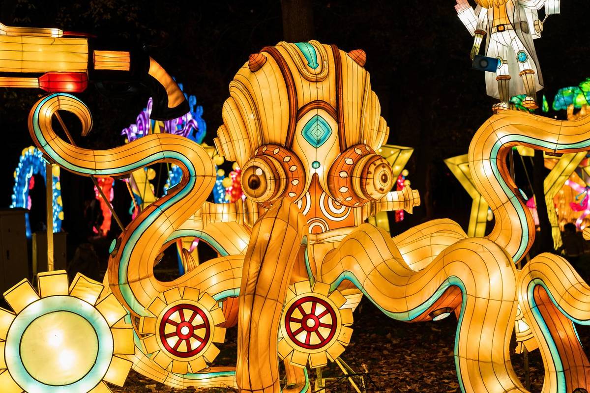 Winter Lantern Festival