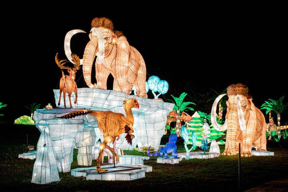5 Reasons To Visit The Winter Lantern Festival Before It Closes