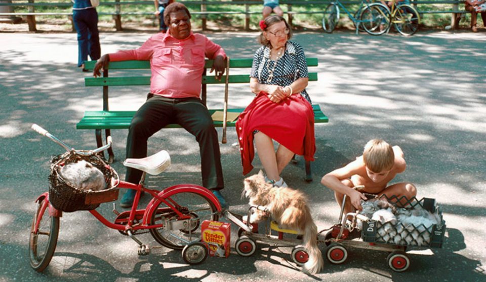 This is What Summer in NYC Looked Like in 1978!
