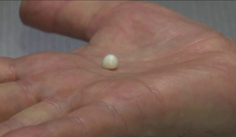 A Lucky Customer Finds A Pearl In Grand Central’s Oyster Bar