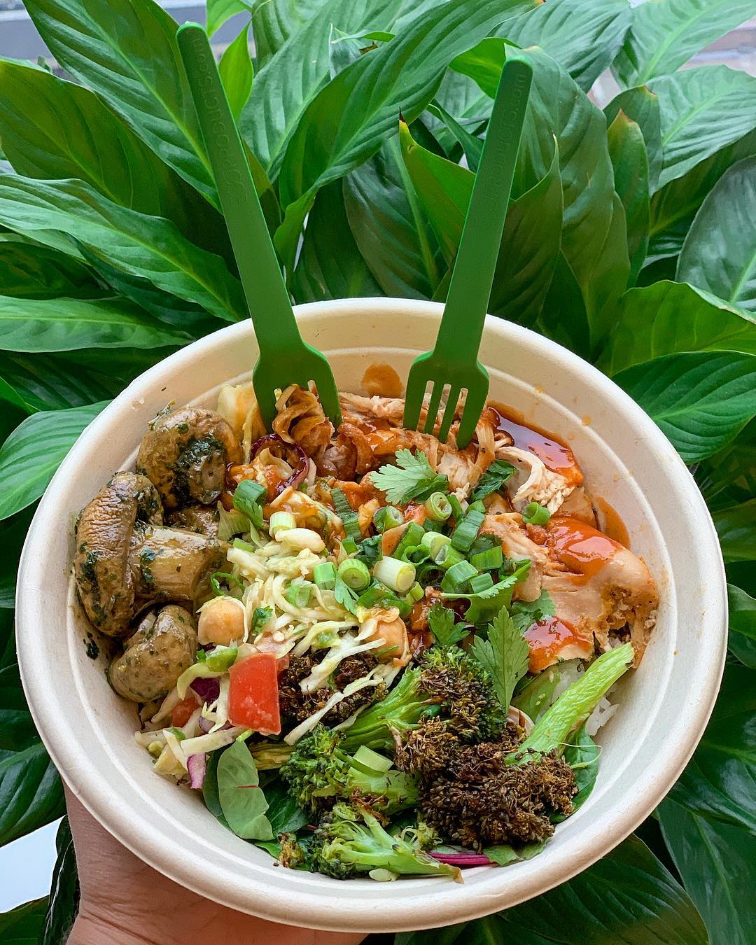 5 Fast Casual Restaurants That Are Healthy & Hit The Spot