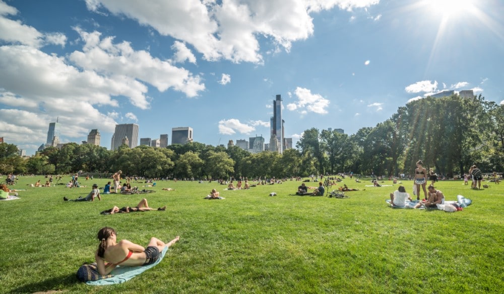 NYC Is So Hot, It’s Officially Considered A ‘Subtropical’ Climate Zone