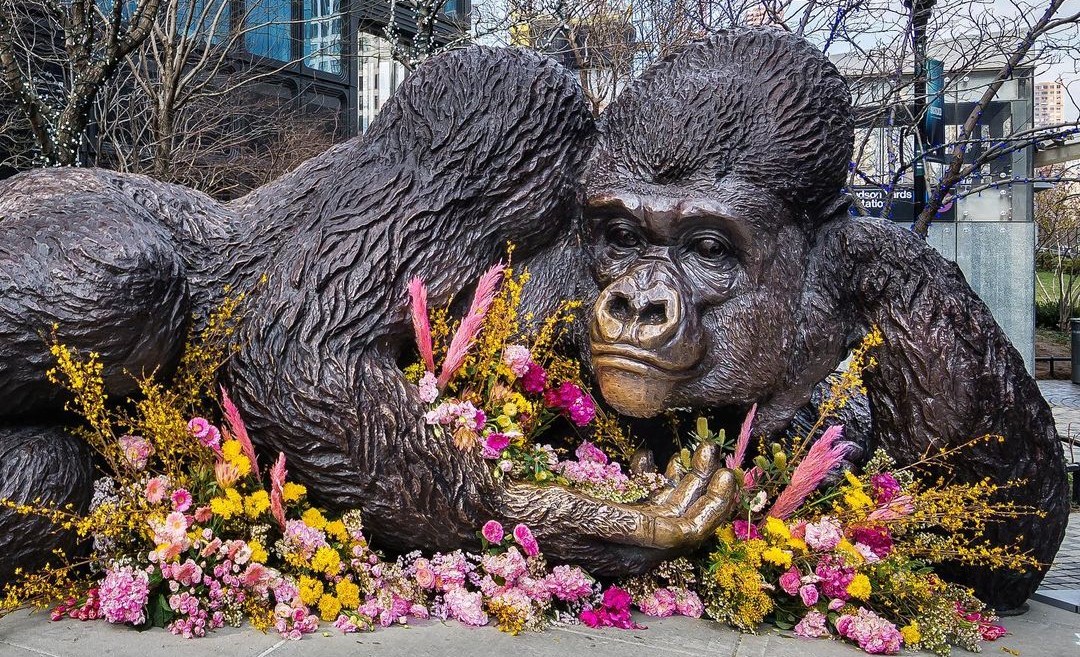 The 5,000Pound Gorilla Statue In Hudson Yards Just Got A Beautiful