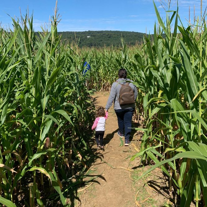 Mujer y niño caminando por un campo de maíz en las Granjas Ort