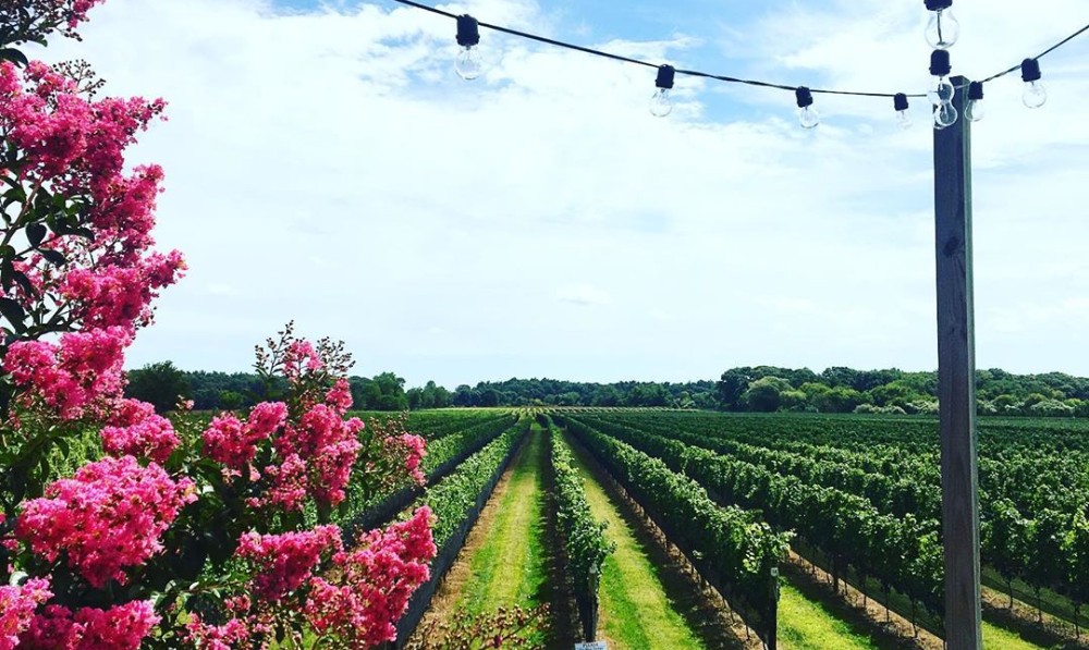 Day Trips from NYC in Winter: Cold-Weather Escapes