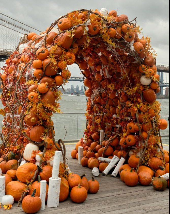 55 MustDo Things In NYC This November Secret NYC