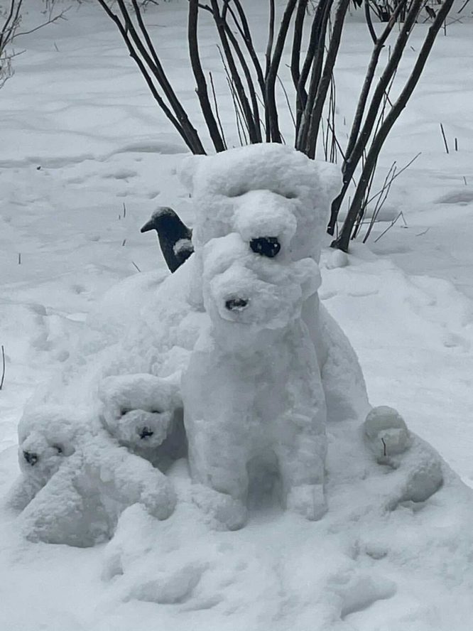 The Cutest Bear Snow Sculptures Have Taken Over Central Park LaptrinhX / News