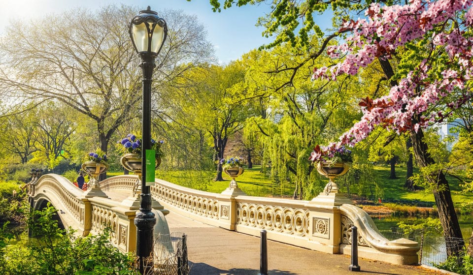 NYC wird diese Woche die höchsten Temperaturen seit über 7 Monaten erleben
