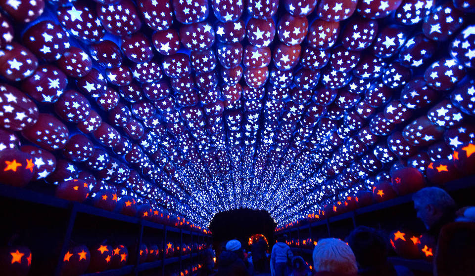 The Spectacular Jack O’Lantern Blaze Will Return As One Of The Largest Halloween Spectacles In NY