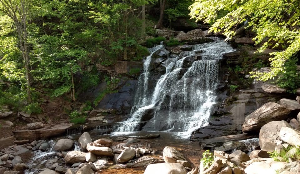 The Highest Cascading Waterfall In New York State Is Only 2.5 Hours From NYC — And It Features A Hidden Trail That Feels Like A Secret Rainforest