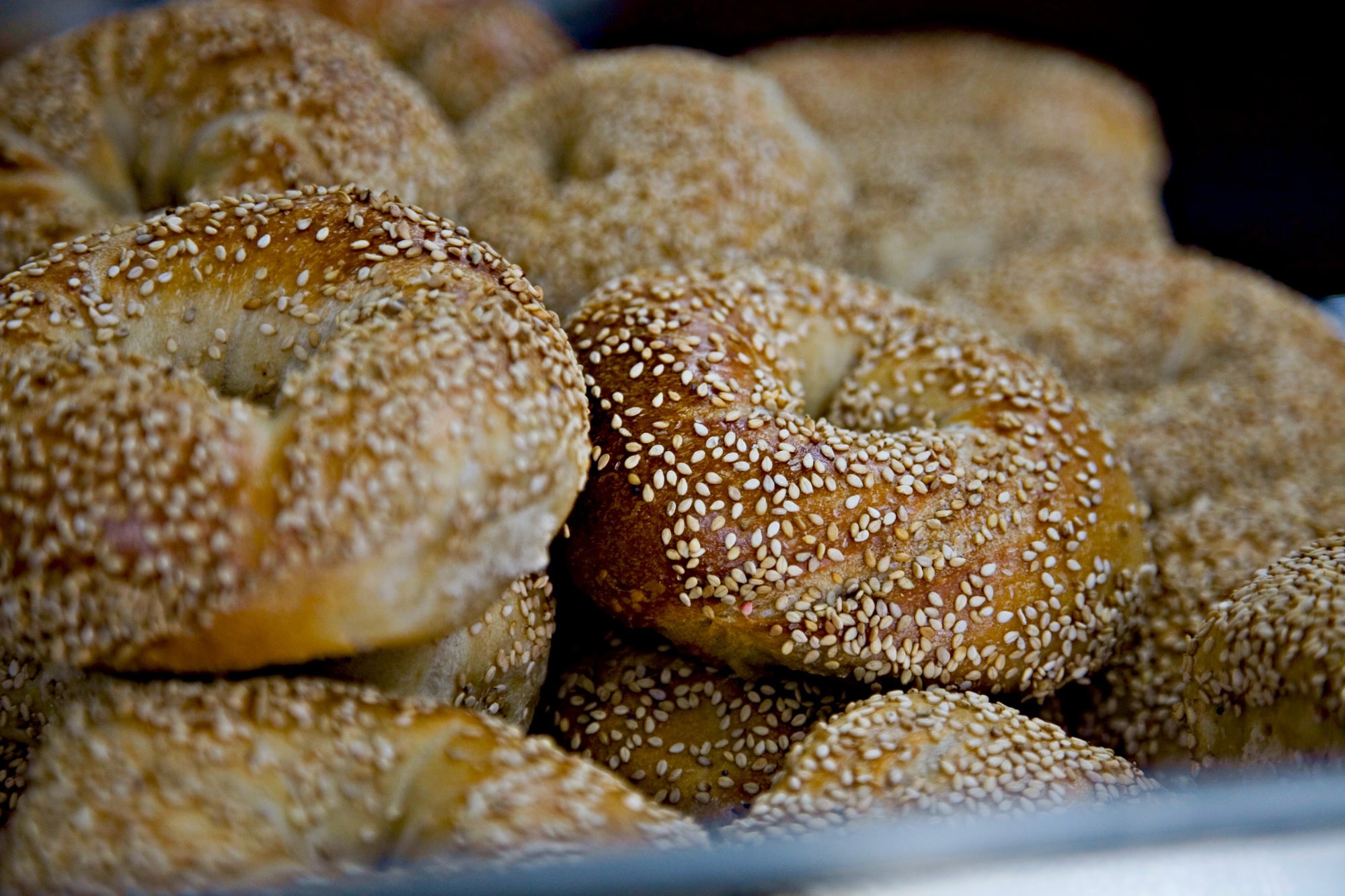 20 Best Bagels In NYC Right Now (2024)