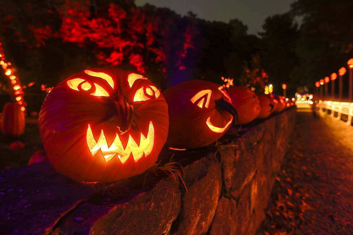 This is a view of the The Great Jack O'Lantern Blaze at Van Cortlandt Manor in Croton-on-Hudson, N.Y. on September 29, 2016. (Photo by Tom Nycz)