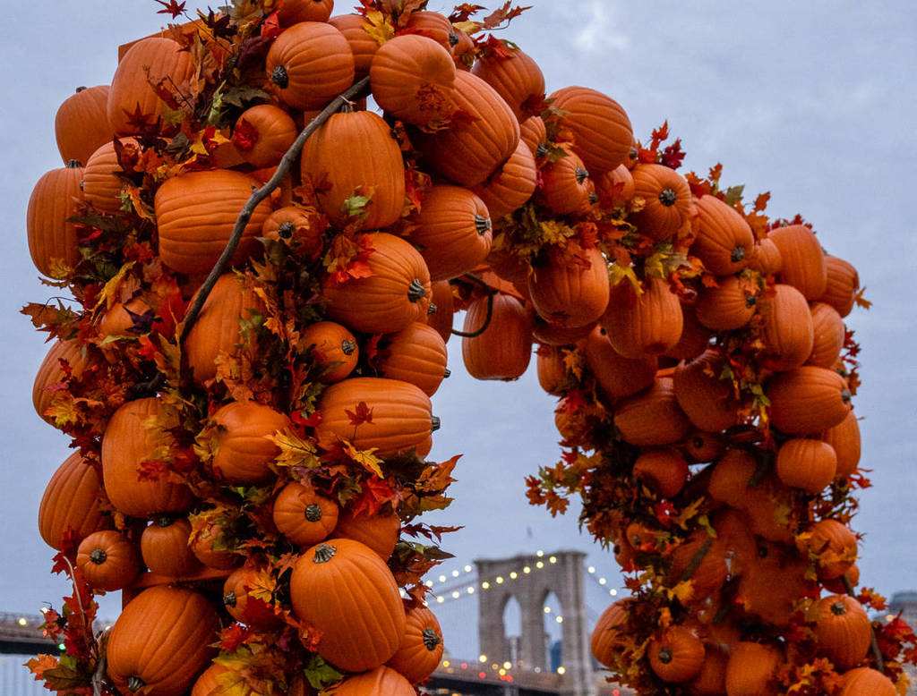 Seaport's OverTheTop Pumpkin Arch Is Returning To Pier 17