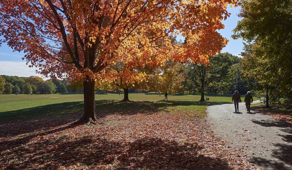 NYC Will See 50 Degrees For The First Time In 4 Months By Mid-Week