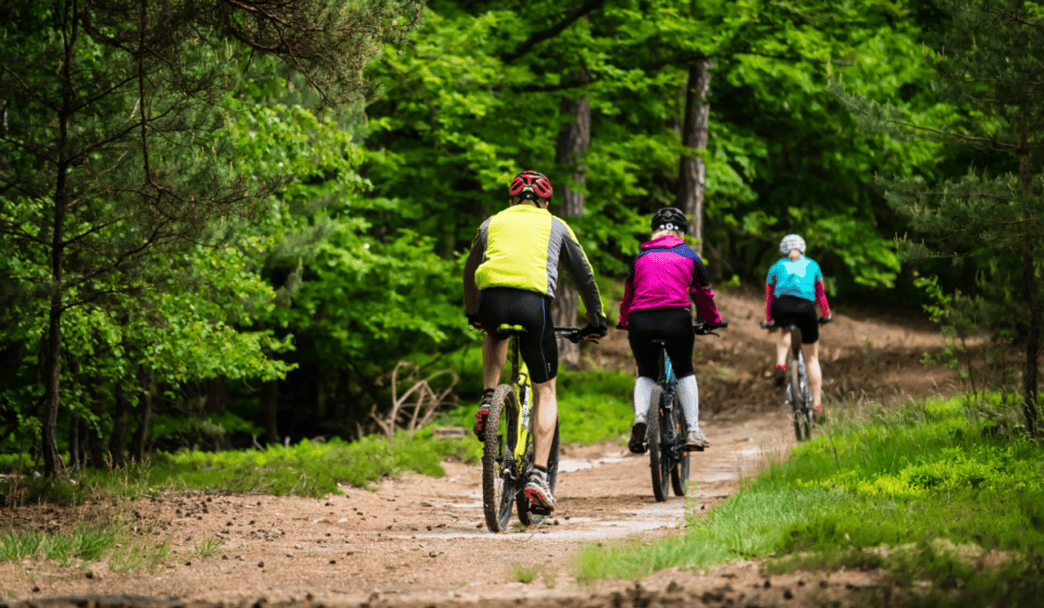 NY’s Record-Breaking 750-Mile Trail From NYC To Canada Is Officially Finished — And A Massive Route To Montauk Is Already In The Works
