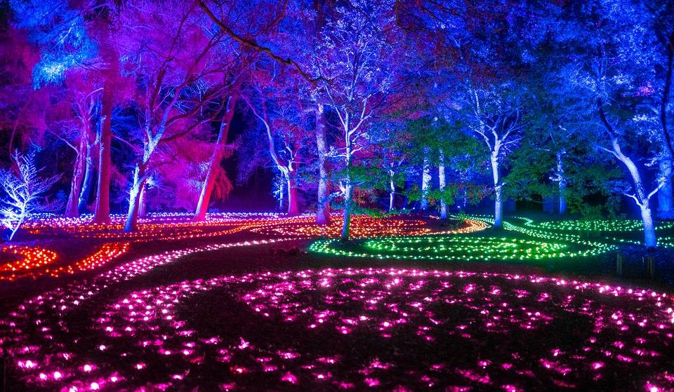 The Enchanting ‘Lightscape’ Seasonal Trail Is Leaving Brooklyn Botanic Garden — And You Still Have A Few Days To Check It Out