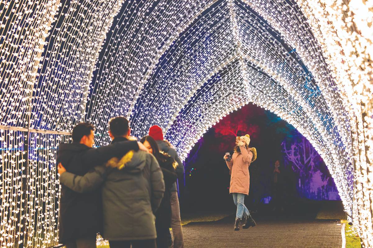 Lightscape archway at Brooklyn Botanic Garden