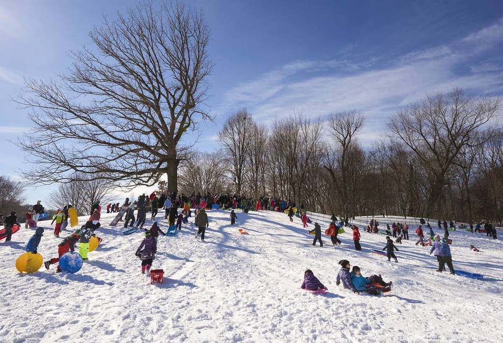 10 Best Snowy Spots For Sledding In NYC This Winter