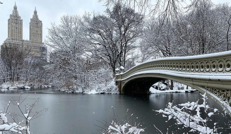 NYC Snow Storm Blankets Central Park In More Than 5 Inches Of Snow