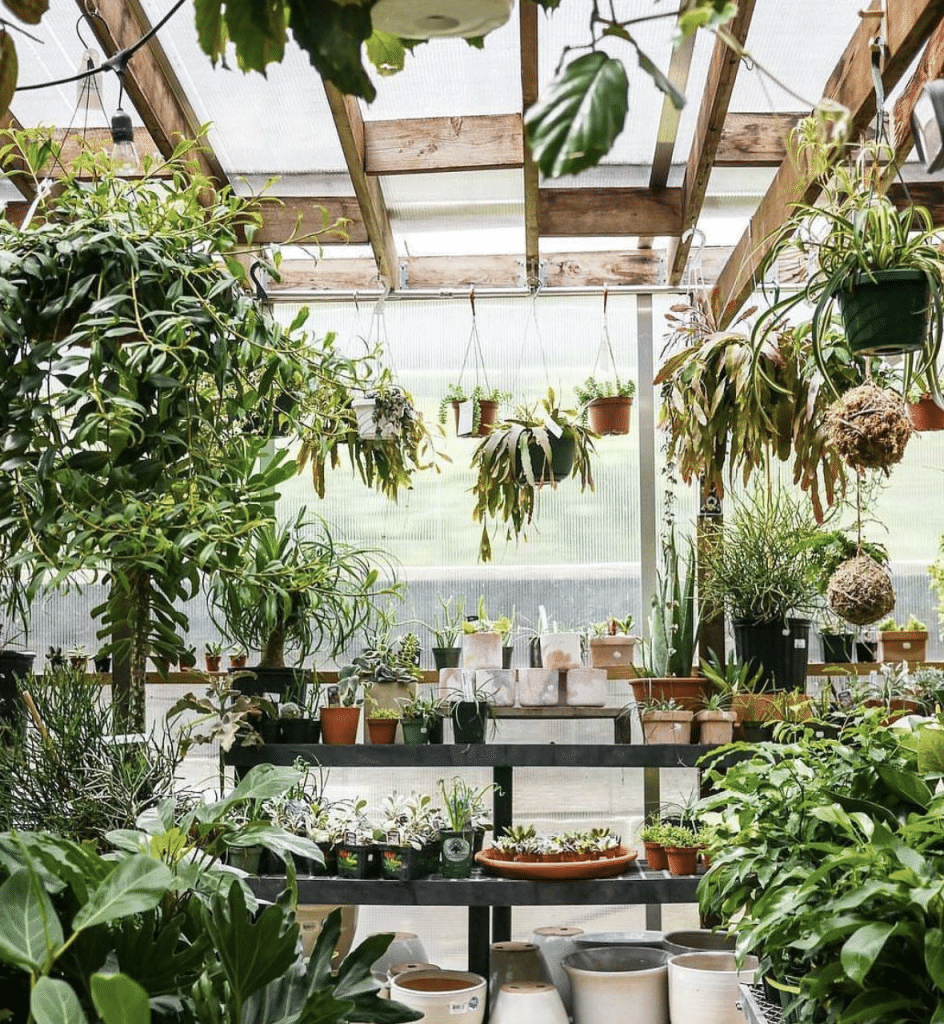 15 Best Plant Shops In Brooklyn