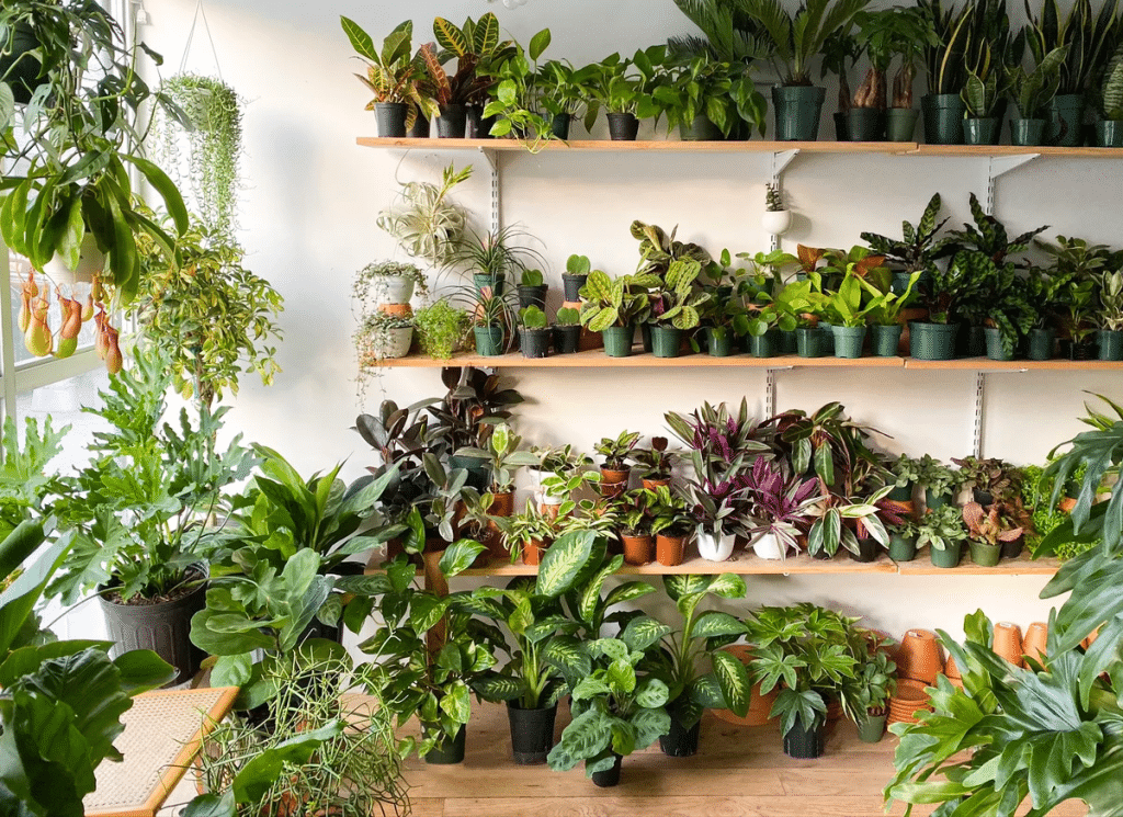 15 Best Plant Shops In Brooklyn