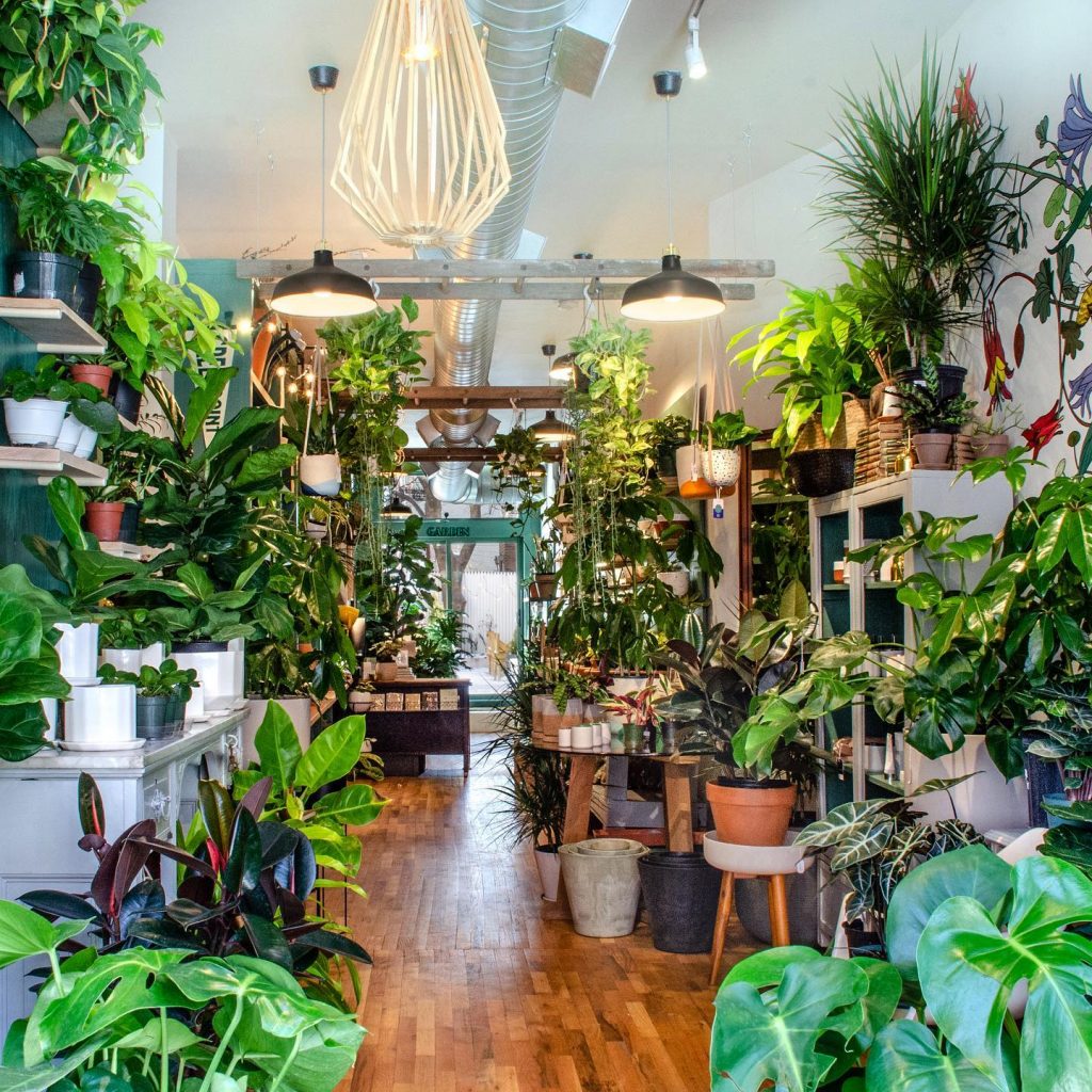 15 Best Plant Shops In Brooklyn