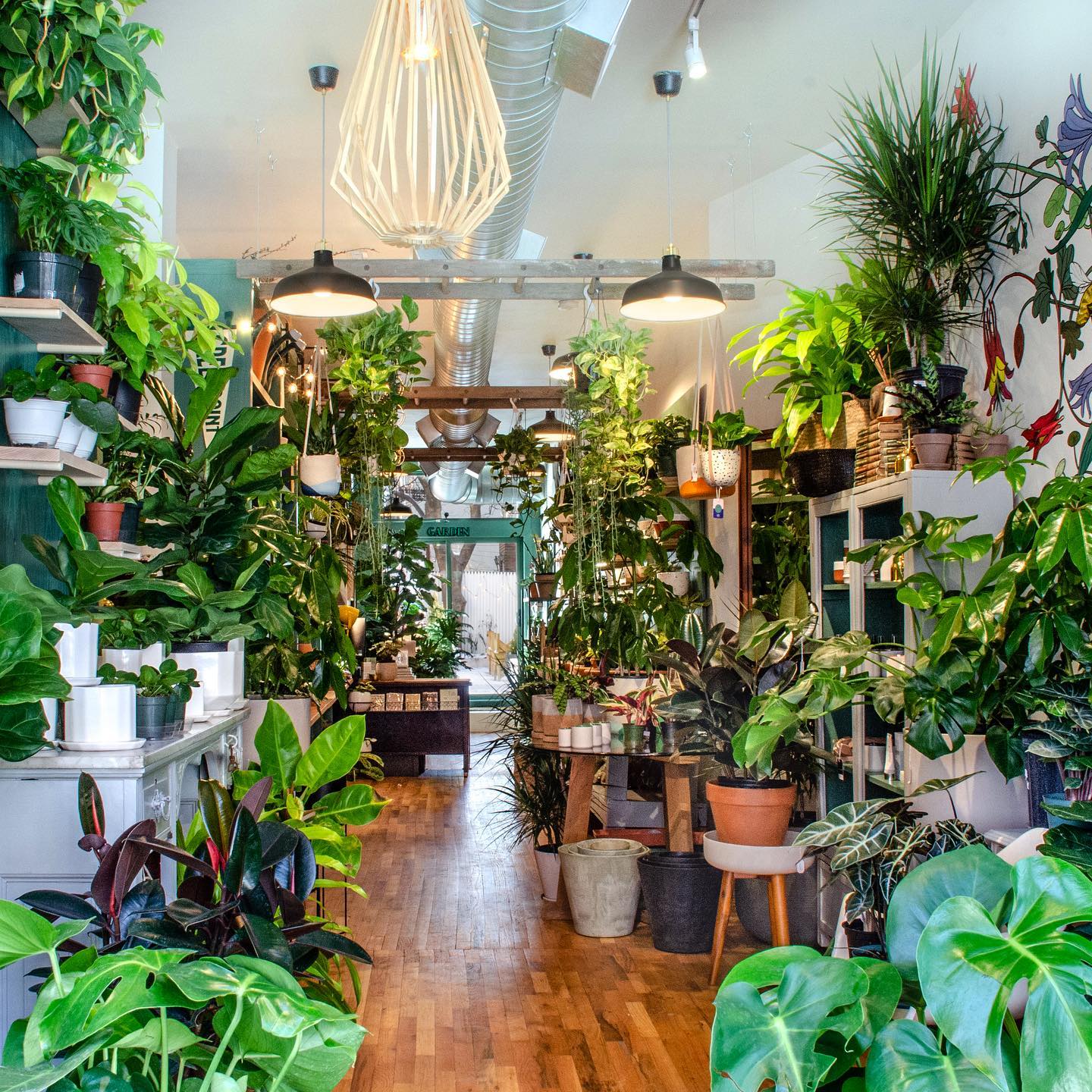 15 Best Plant Shops In Brooklyn
