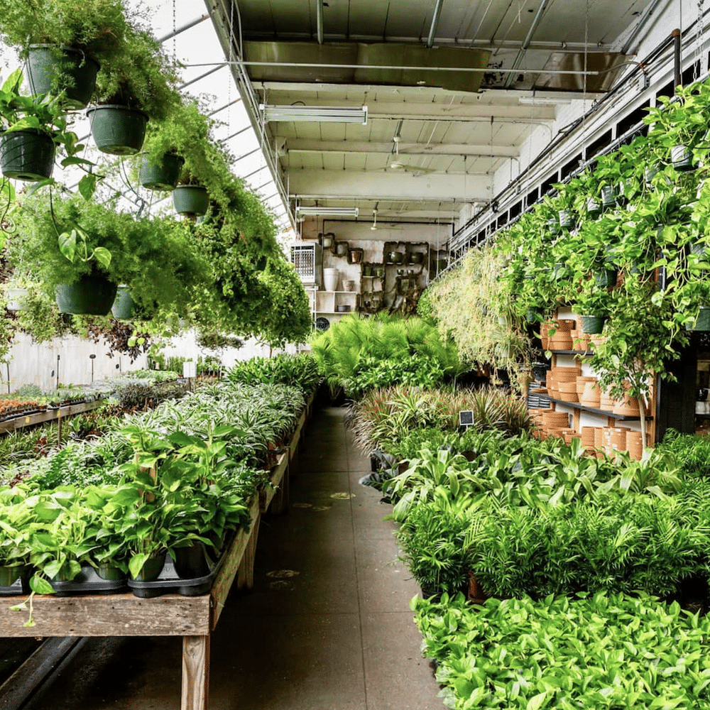 15 Best Plant Shops In Brooklyn