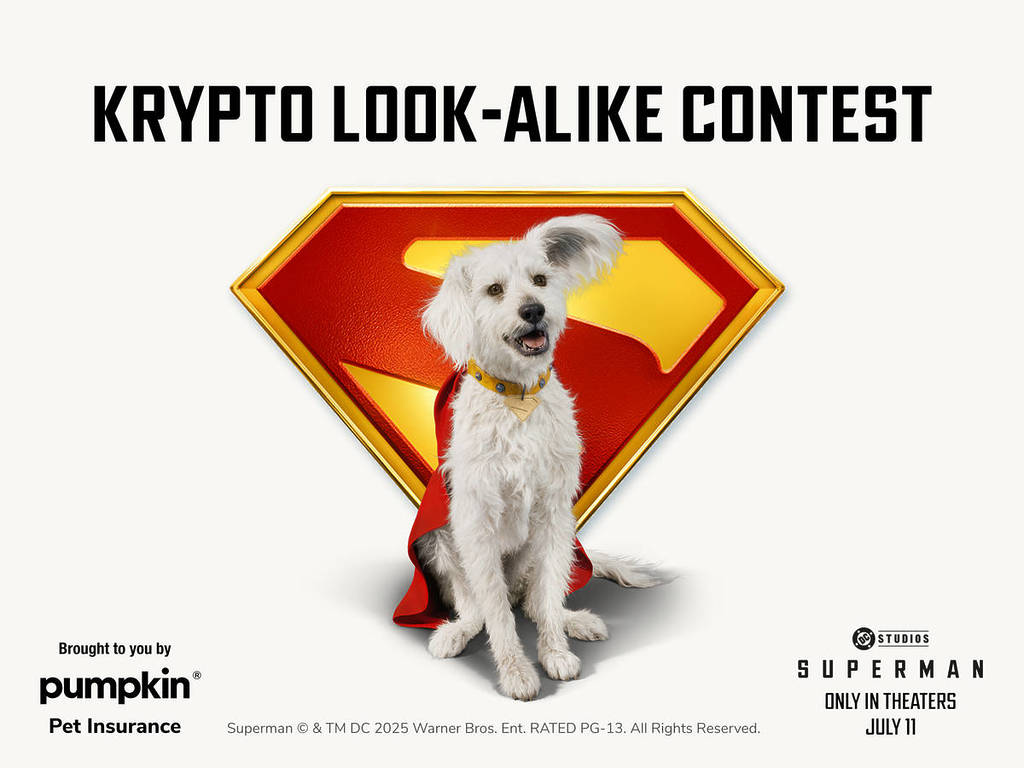 Krypto lookalike contest