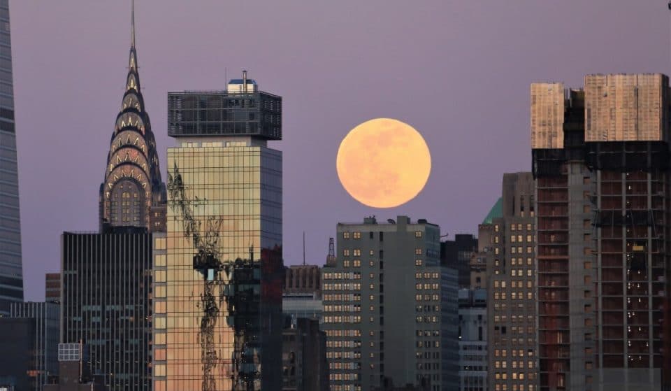 Der Februar-Vollmond in Löwe bringt NYC diese Woche zum Leuchten und sorgt für feurige Energie