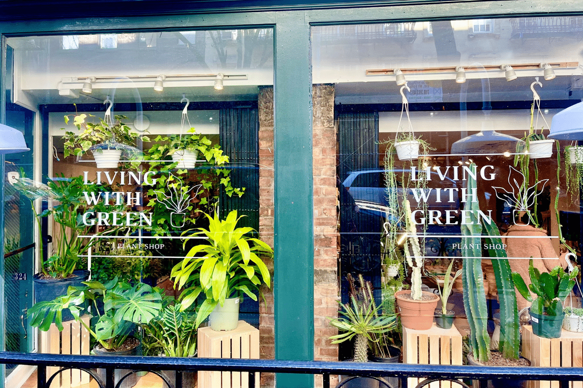15 Best Manhattan Plant Shops To Turn Your Home Into A Jungle Secret NYC