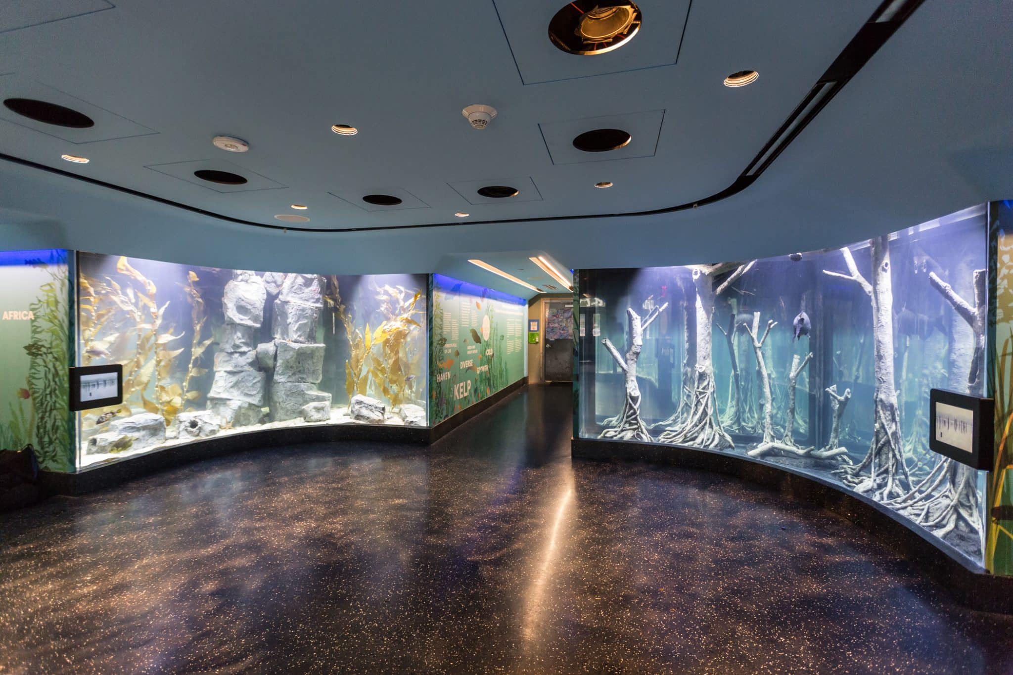 10 Best Aquariums, Zoos And Fish Shops In NYC Secret NYC