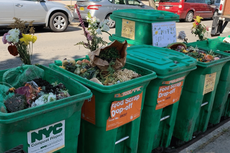 NYC Composting Fines What You Need To Know nyc-composting-fines-what-you-need-to-know