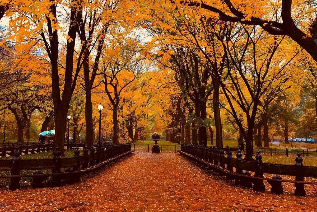 22 Best Things To Look Forward To About Fall In New York City