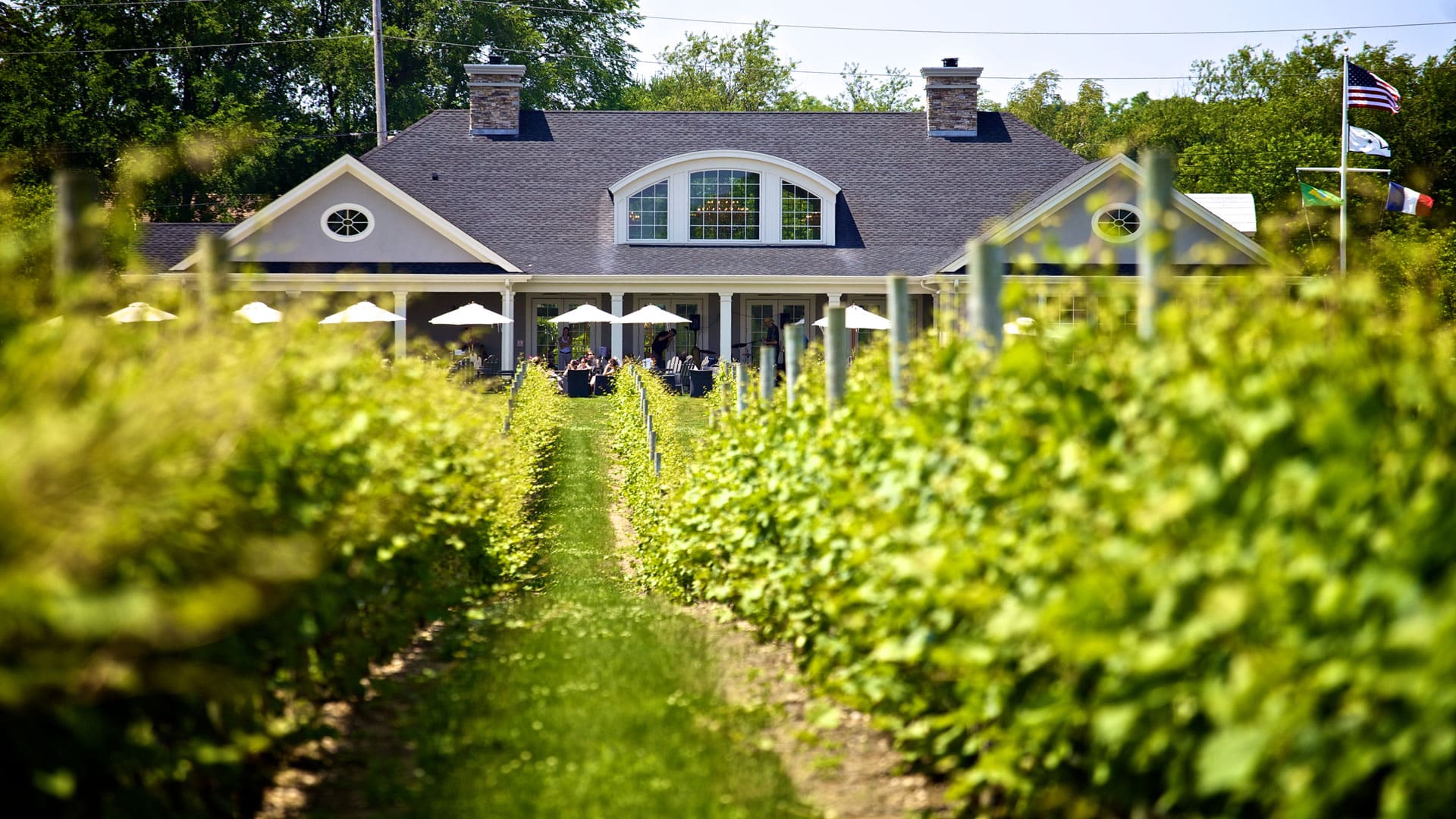 10 Best Wineries & Vineyards On Long Island, NY Secret NYC