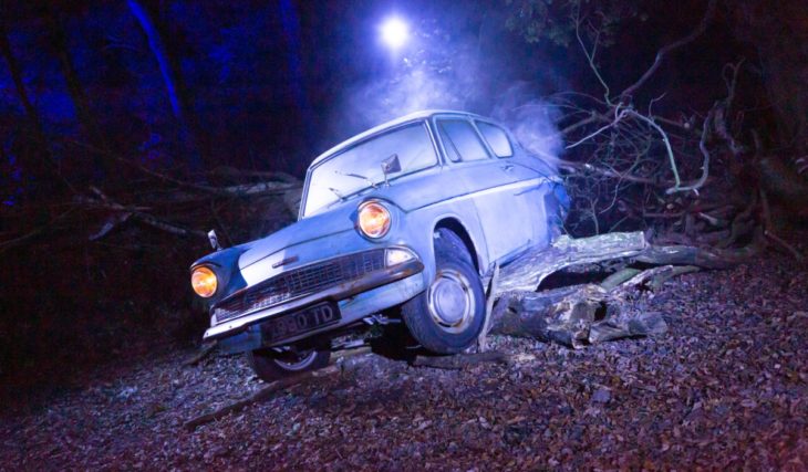 By broomstick or magic flying car: How to get to the Harry Potter Forbidden Forest Experience opening this fall just 40 miles from NYC