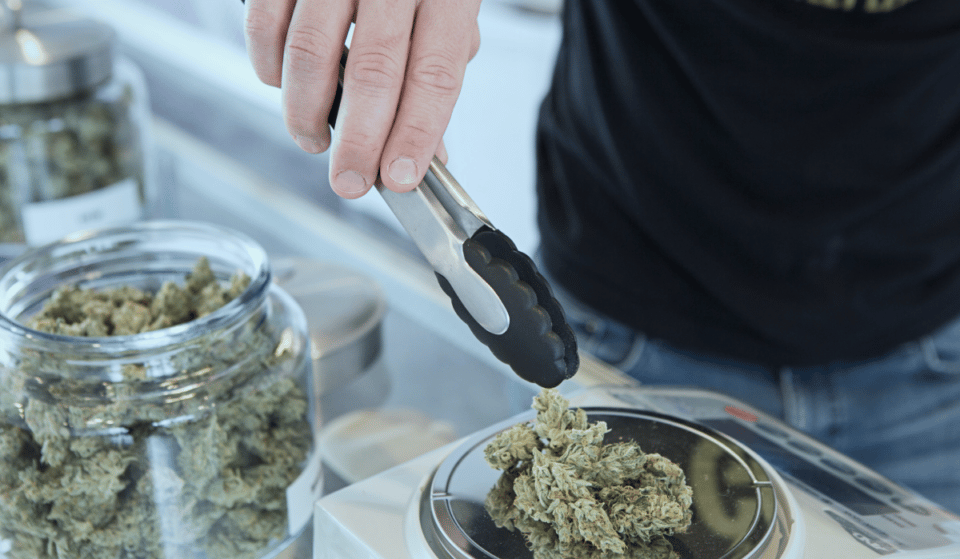 Licenses Were Just Granted To 36 NYS Marijuana Dispensaries