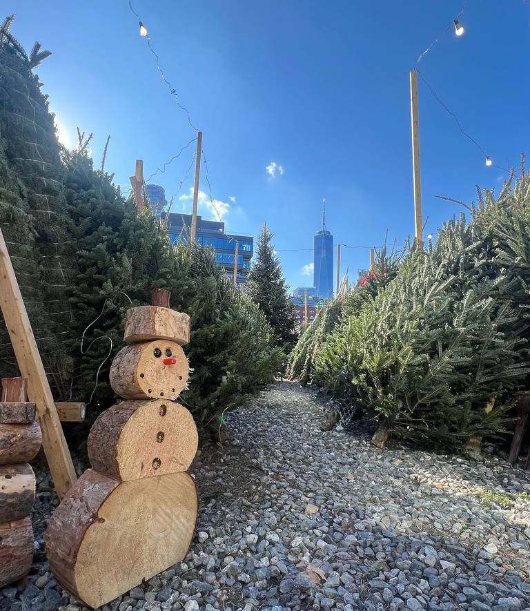 Here's Where To Buy A Christmas Tree In NYC Secret NYC